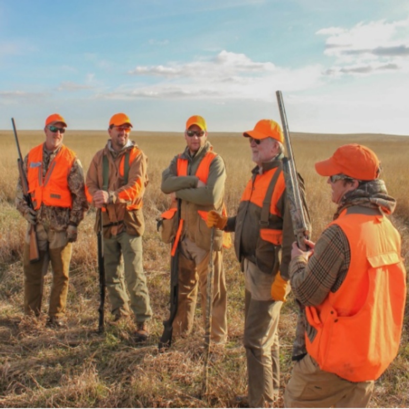 Upland Bird Hunting