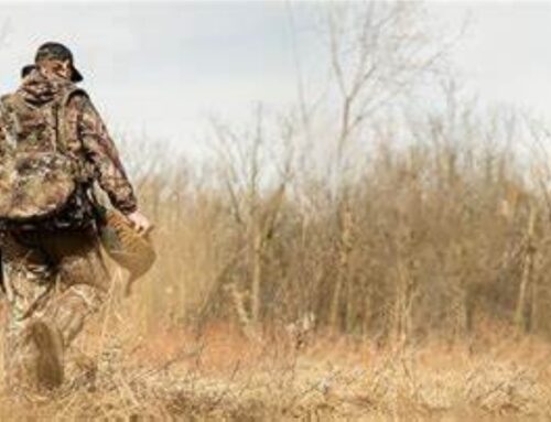 How Much Does Hunting Vest Cost